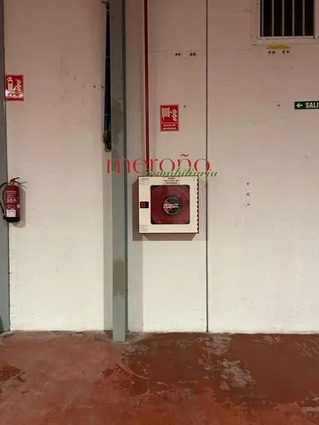 Elche / Elx