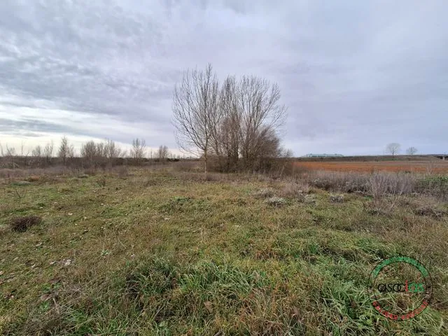 Sahagún