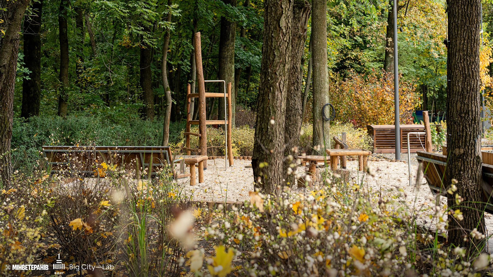 Доступна кругова доріжка серед дерев та газонів для прогулянок в терапевтичному саду ВДНГ Київ