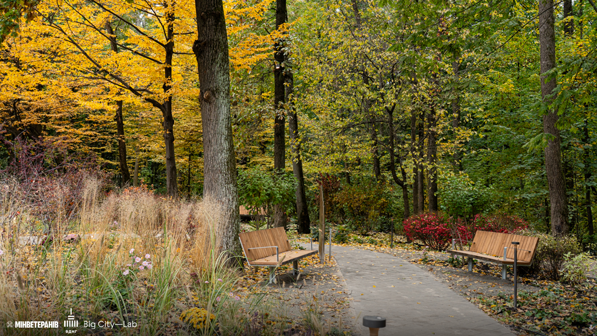 Доступна кругова доріжка серед дерев та газонів для прогулянок в терапевтичному саду ВДНГ Київ
