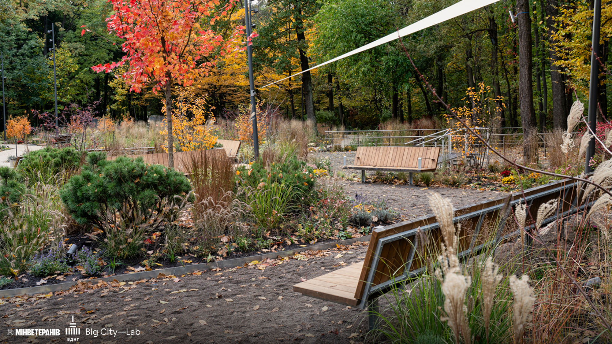 Доступна кругова доріжка серед дерев та газонів для прогулянок в терапевтичному саду ВДНГ Київ