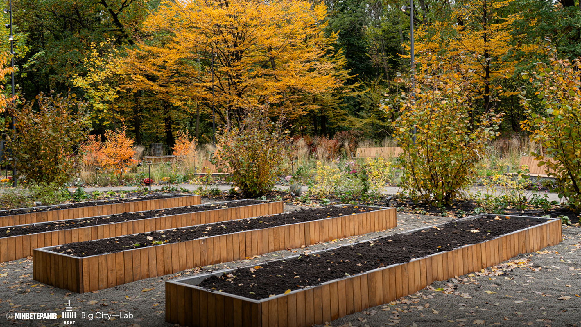 Зона відпочинку з декоративним вогнищем та лавками в терапевтичному саду ВДНГ Київ