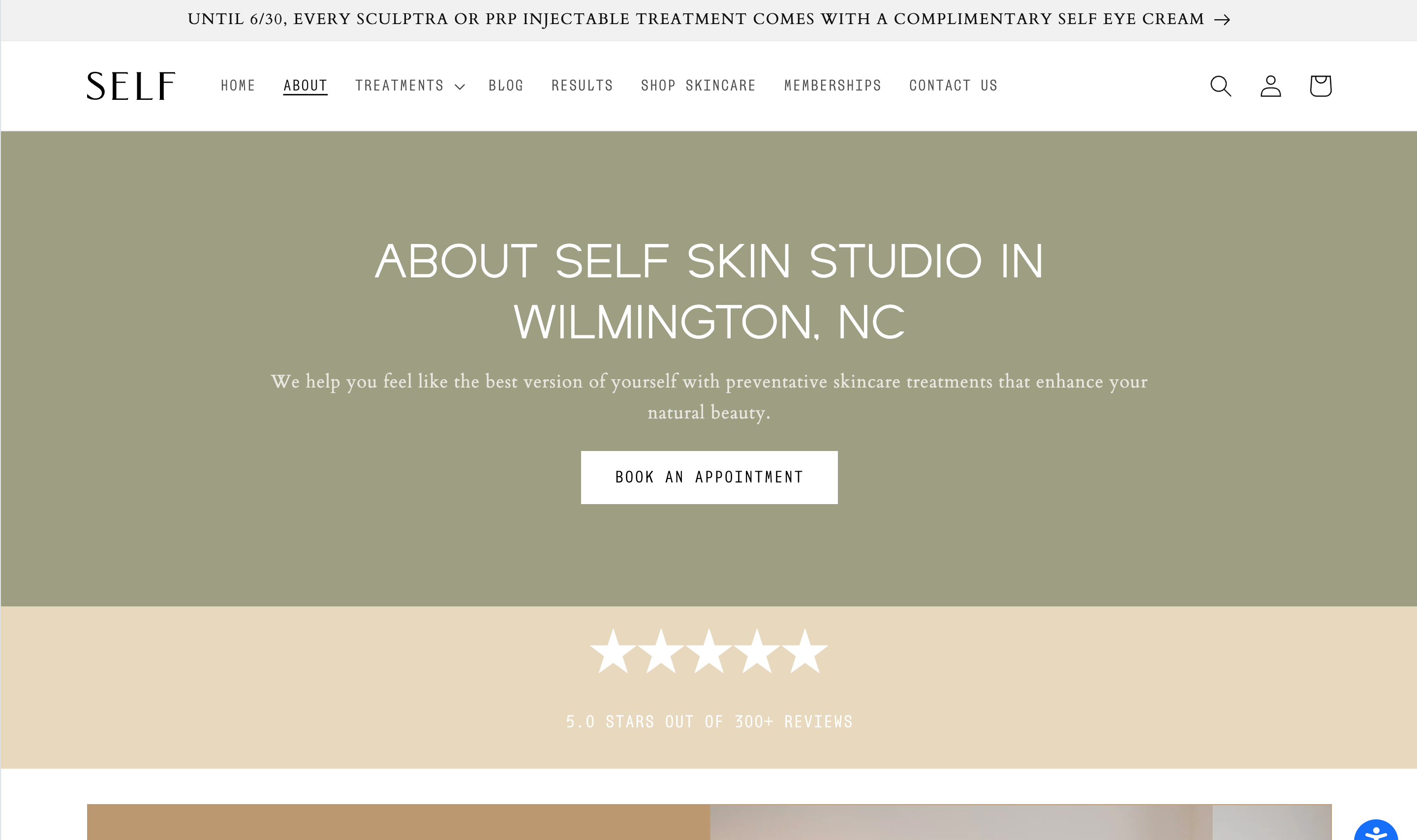 Screenshot of the Self Skin Studio website About page