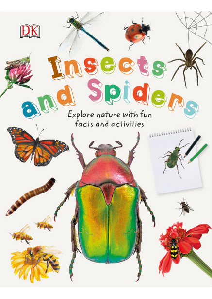 Insects And Spiders