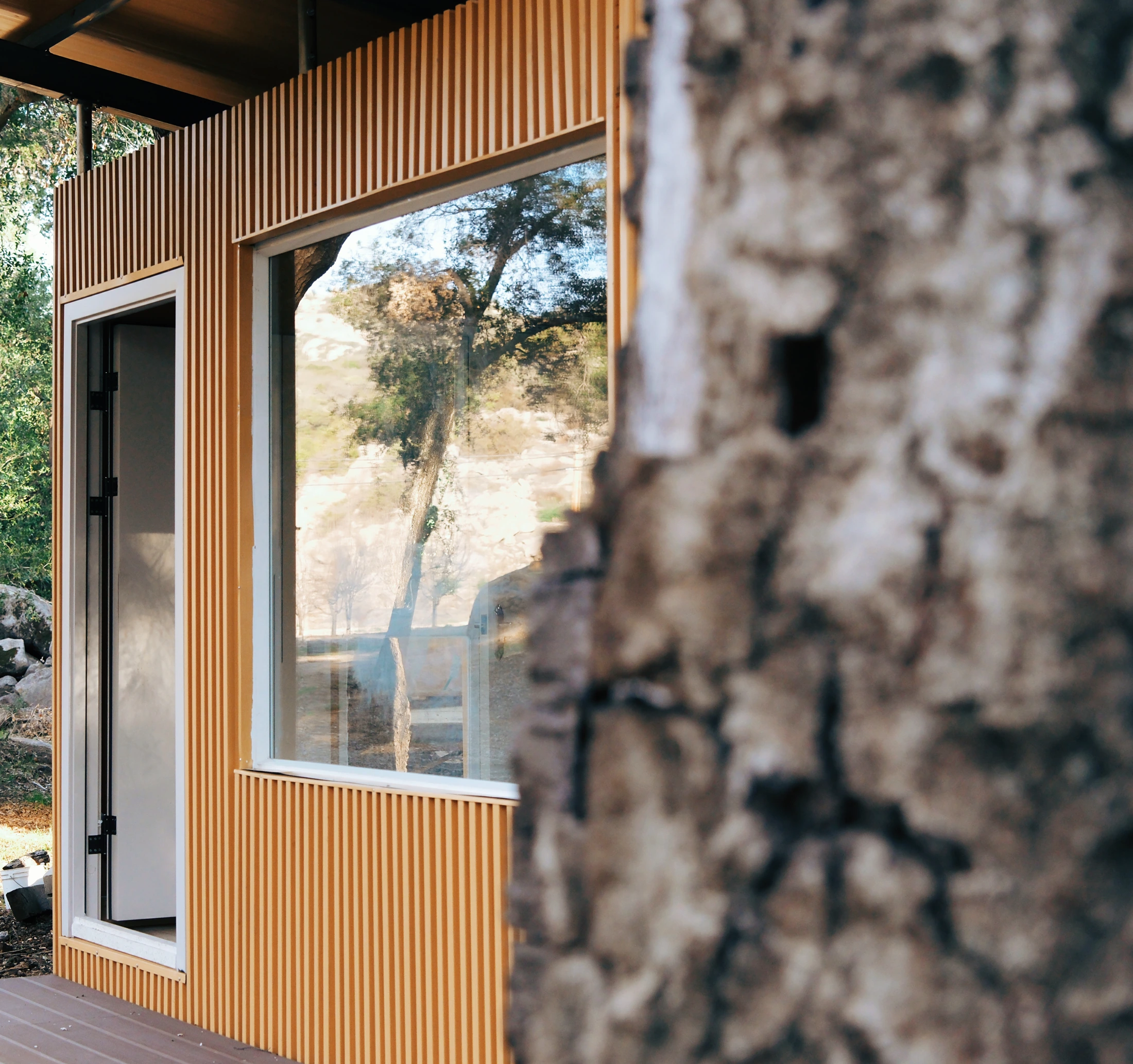 Close view of glazing and vertical cladding beside a tree