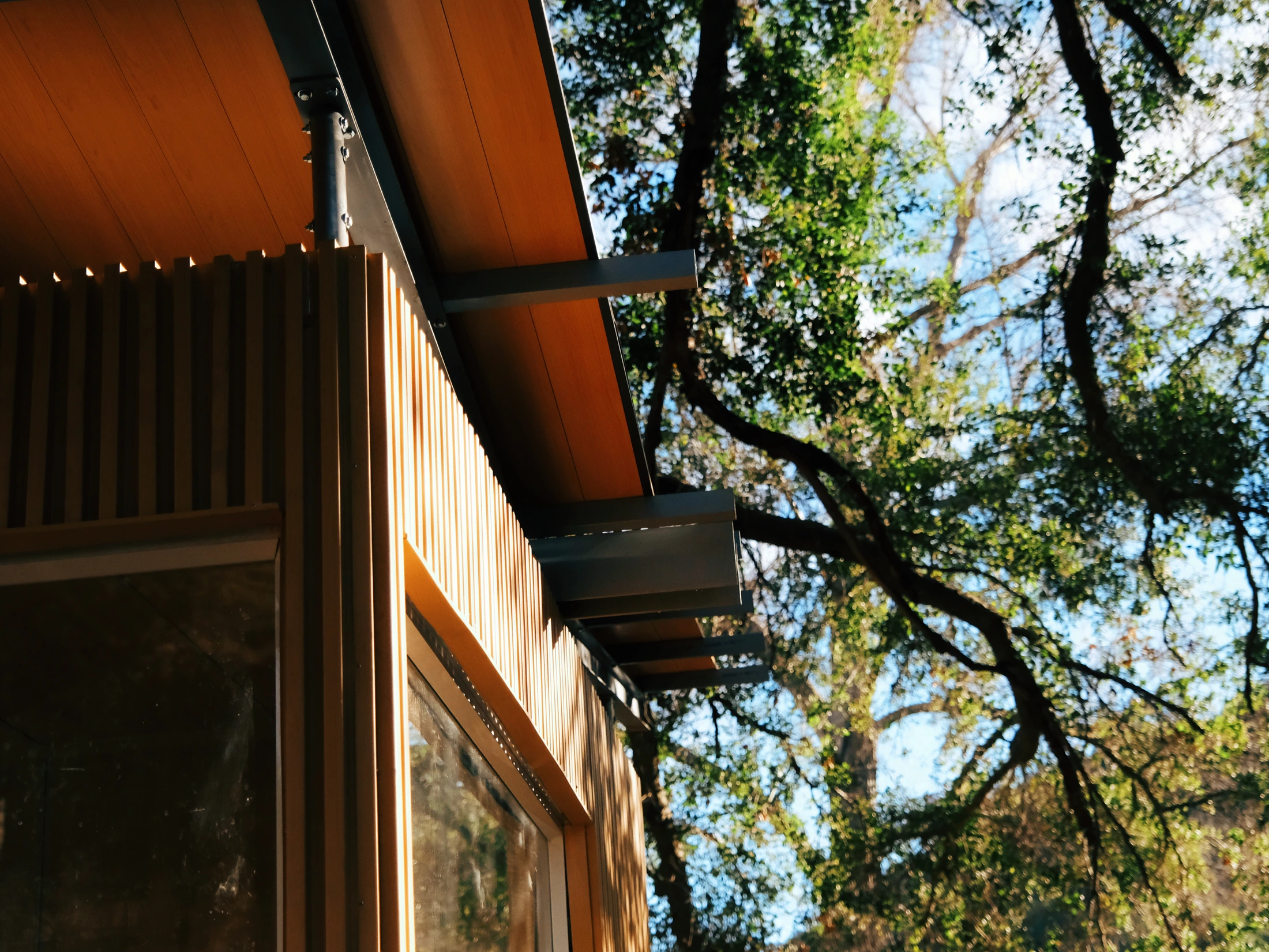 Roof eave, dark framing and warm vertical cladding beneath trees
