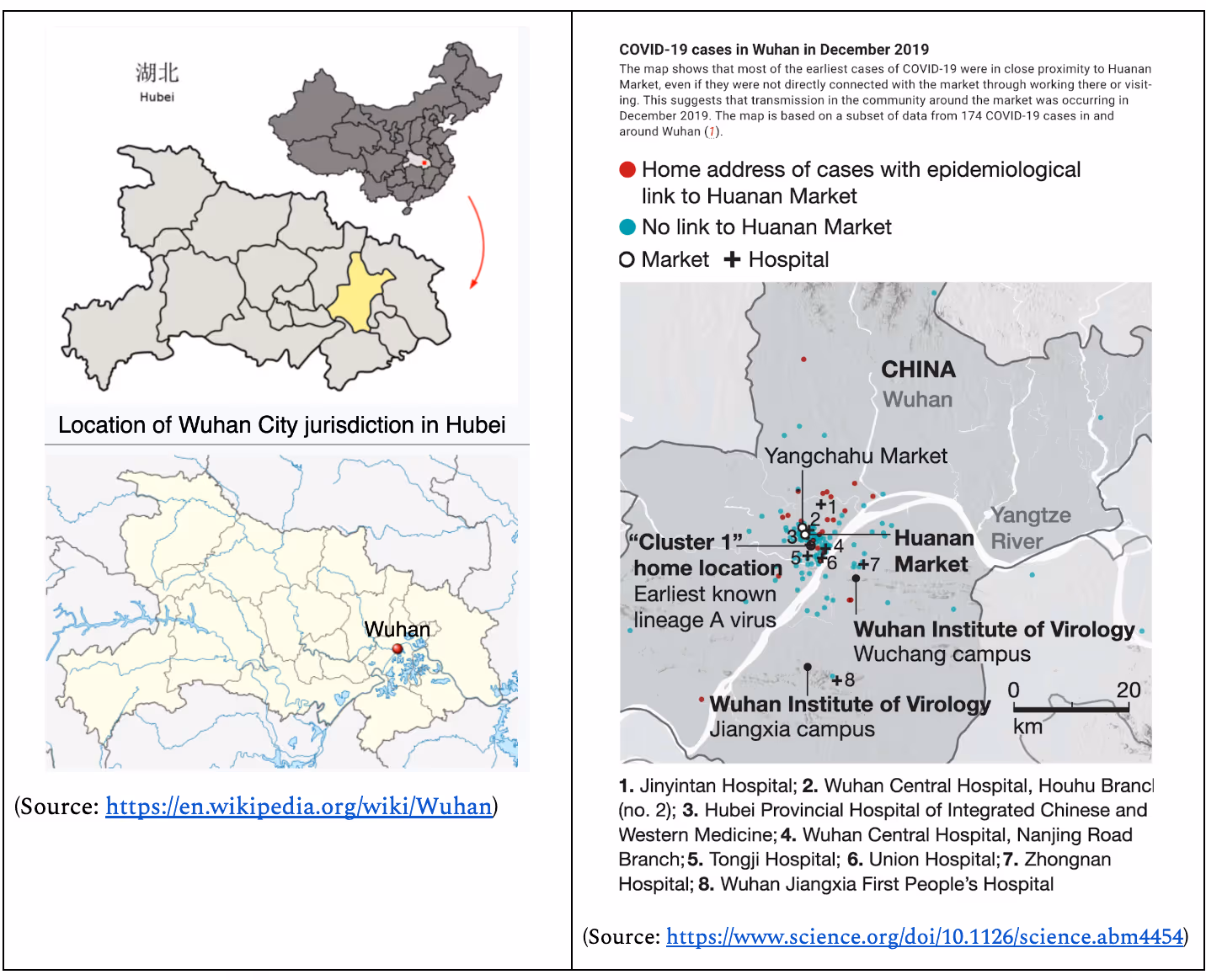 WuhanWuhanDGGraphic
