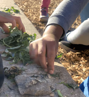 Children during outdoor exercise