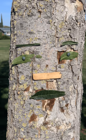 Fface made on tree
