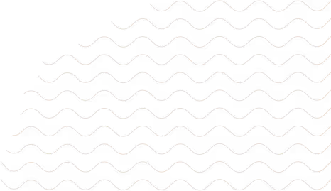White background with subtle gray wavy lines repeating in a pattern