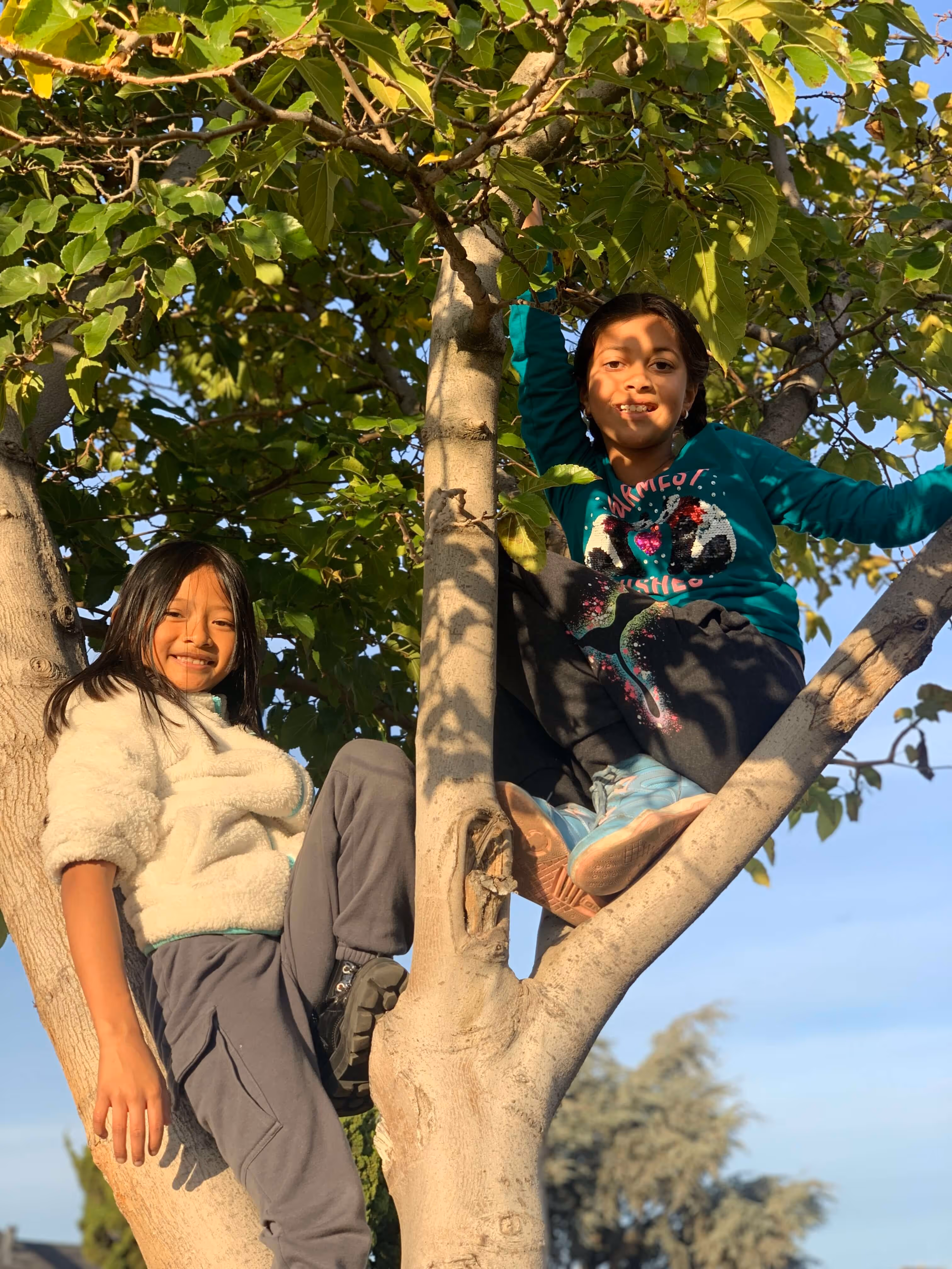 Two children smiling and climbing a tree on a sunny day