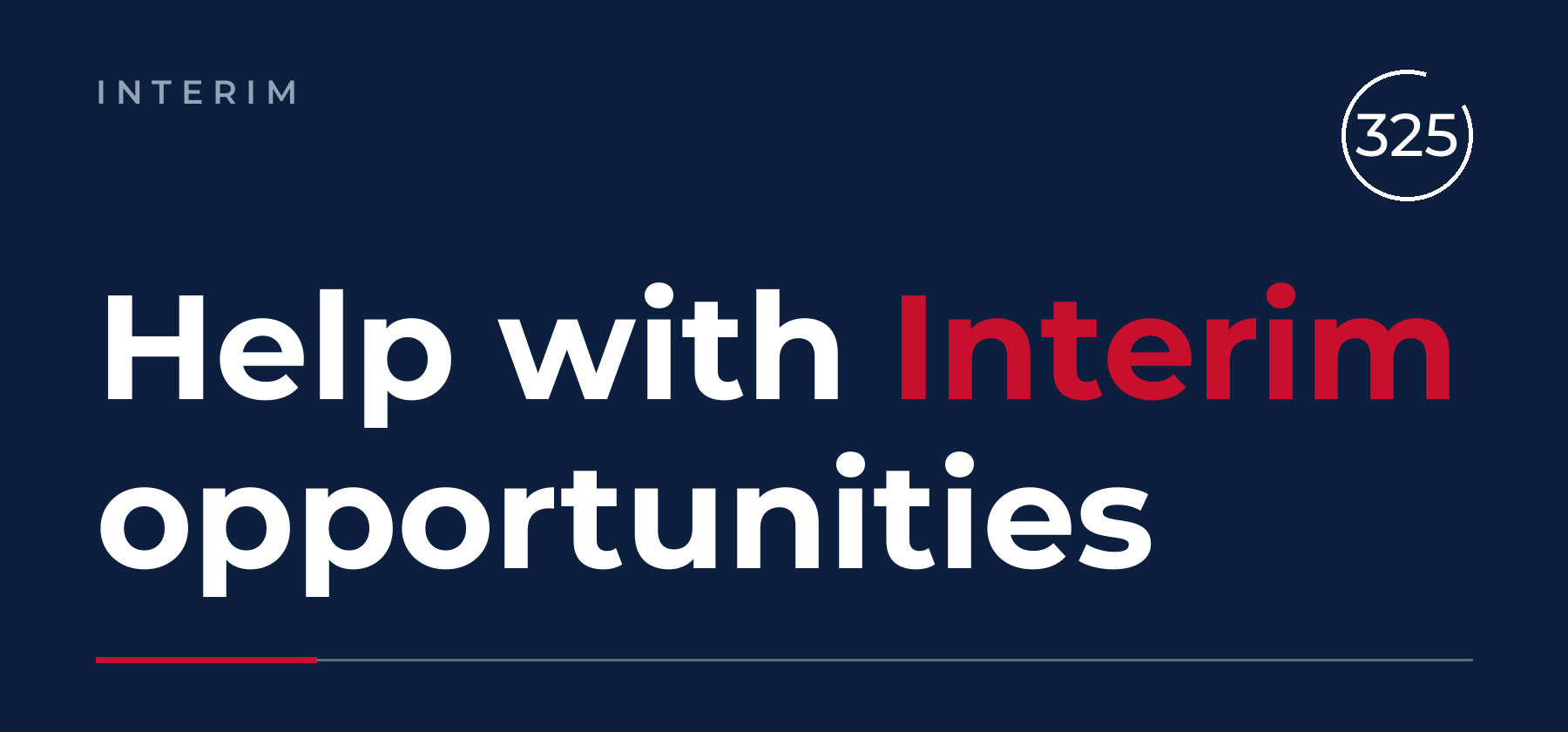 How can 325 Consulting help you with Interim opportunities?