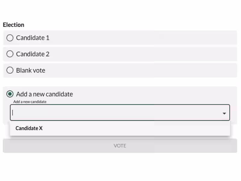 Voteer Launches Write-In Candidate Option for Greater Election Flexibility