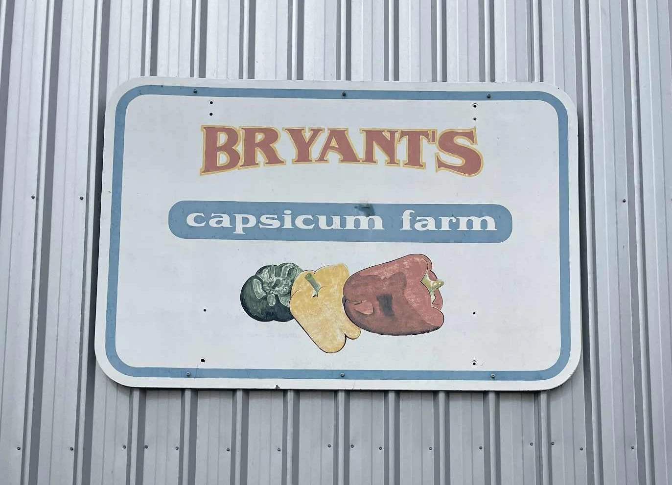 An old worn out sign on Wheeler's Warlocks shed, of Bryants capsicum farm with capsicums below.