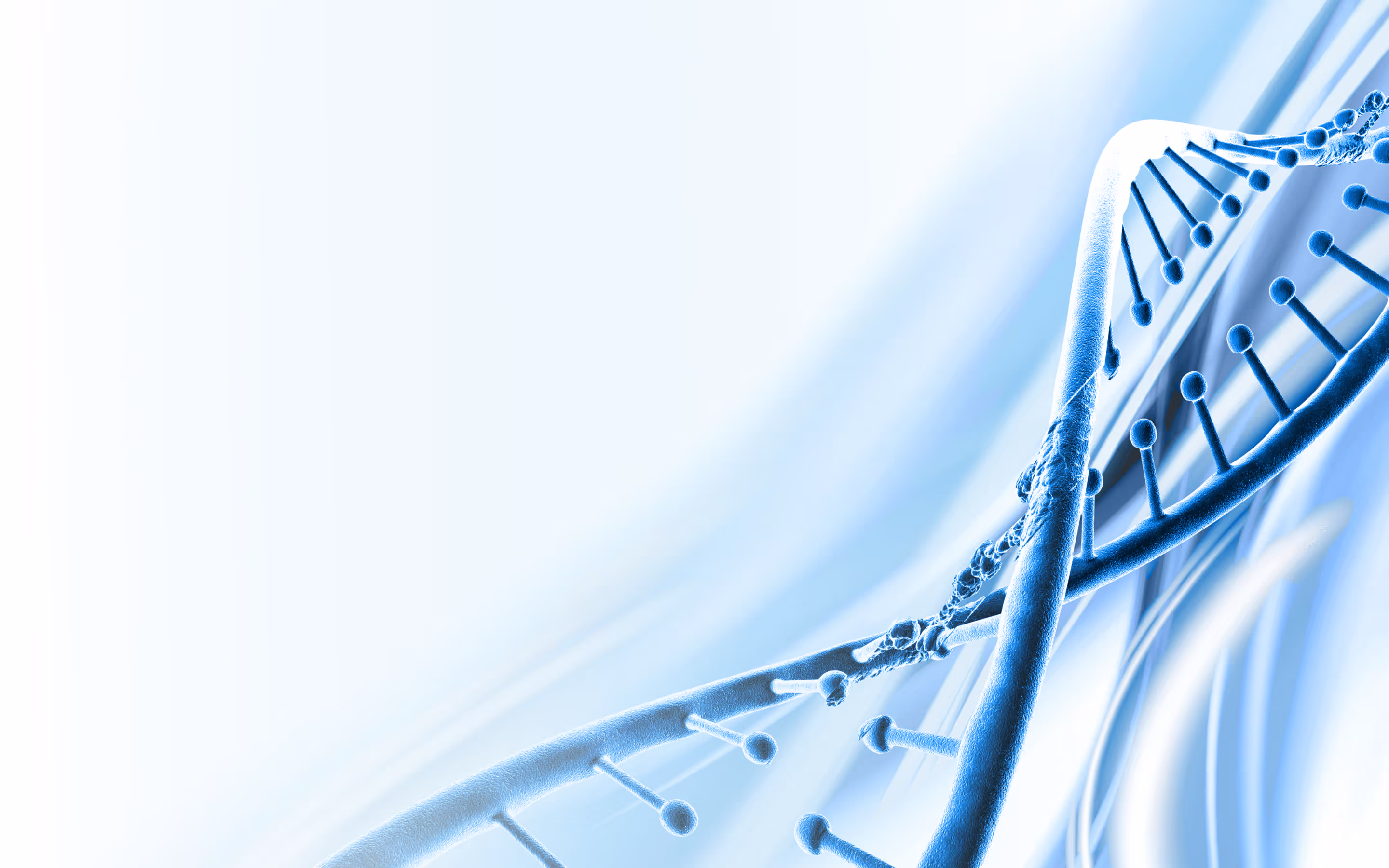 YouHeal | Transform your Health