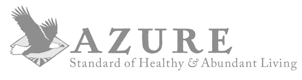 Azure standart logo