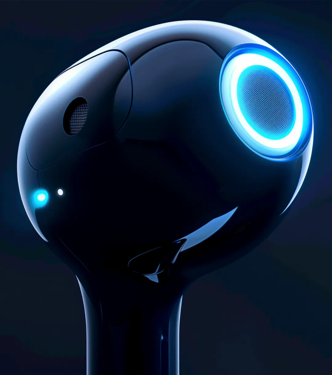 Earphones