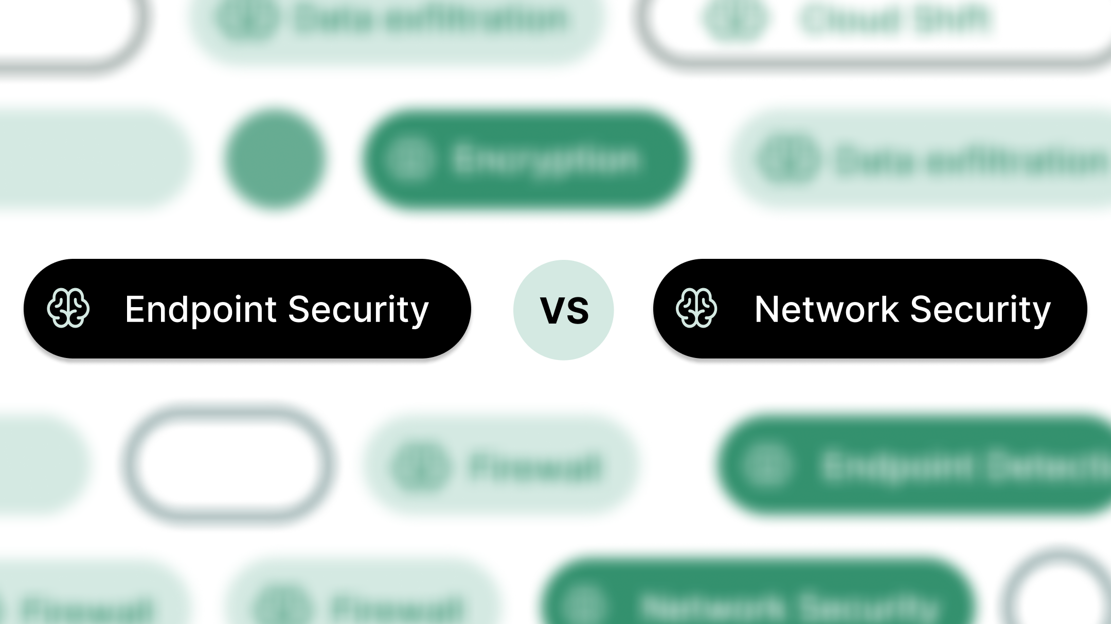 Endpoint Security vs Network Security: Which One Does Your Business Need?