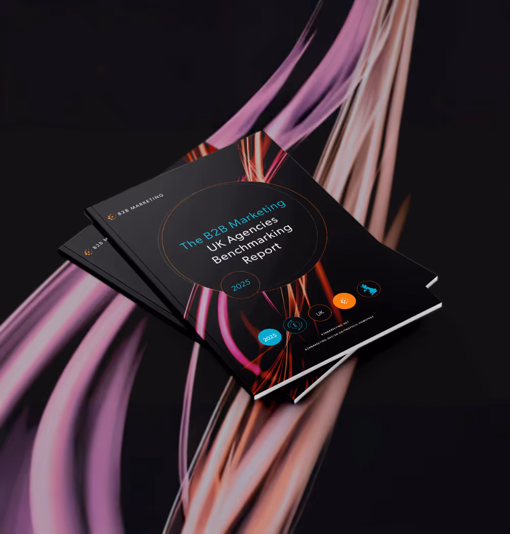 Mockup of Benchmark Report 2025