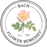 Bachbloesems