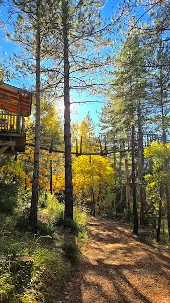 Un week-end insolite en amoureux dans nos cabanes dans les arbres sur pilotis, entre Gap et Sisteron