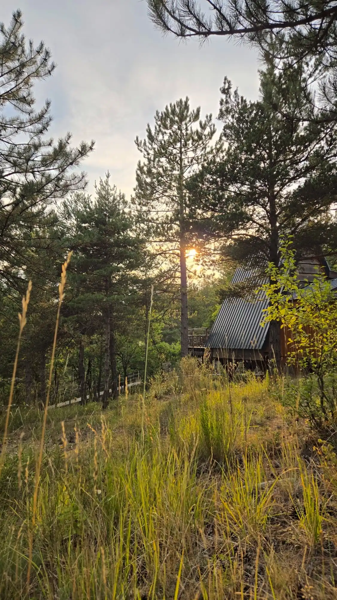 Pour une idée cadeau couple originale, optez pour l’une de nos 4 cabanes dans les arbres avec spa privatif, entre Gap et Sisteron, dans les Hautes-Alpes.