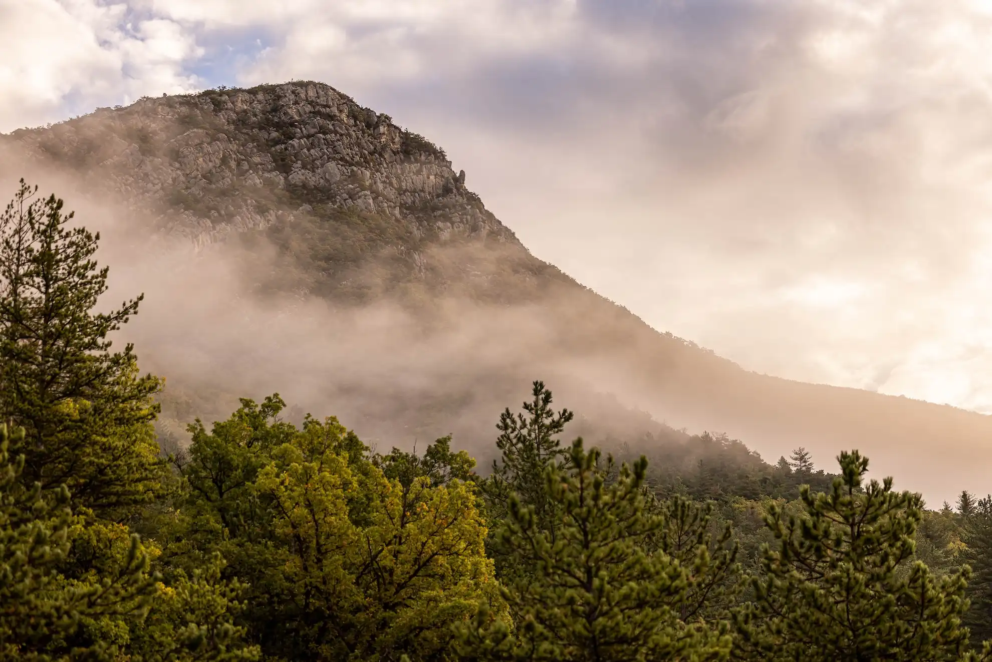 Pour un week-end insolite inoubliable, ou une idée cadeau couple, optez pour l’une de nos cabanes sur pilotis avec jacuzzi privatif.