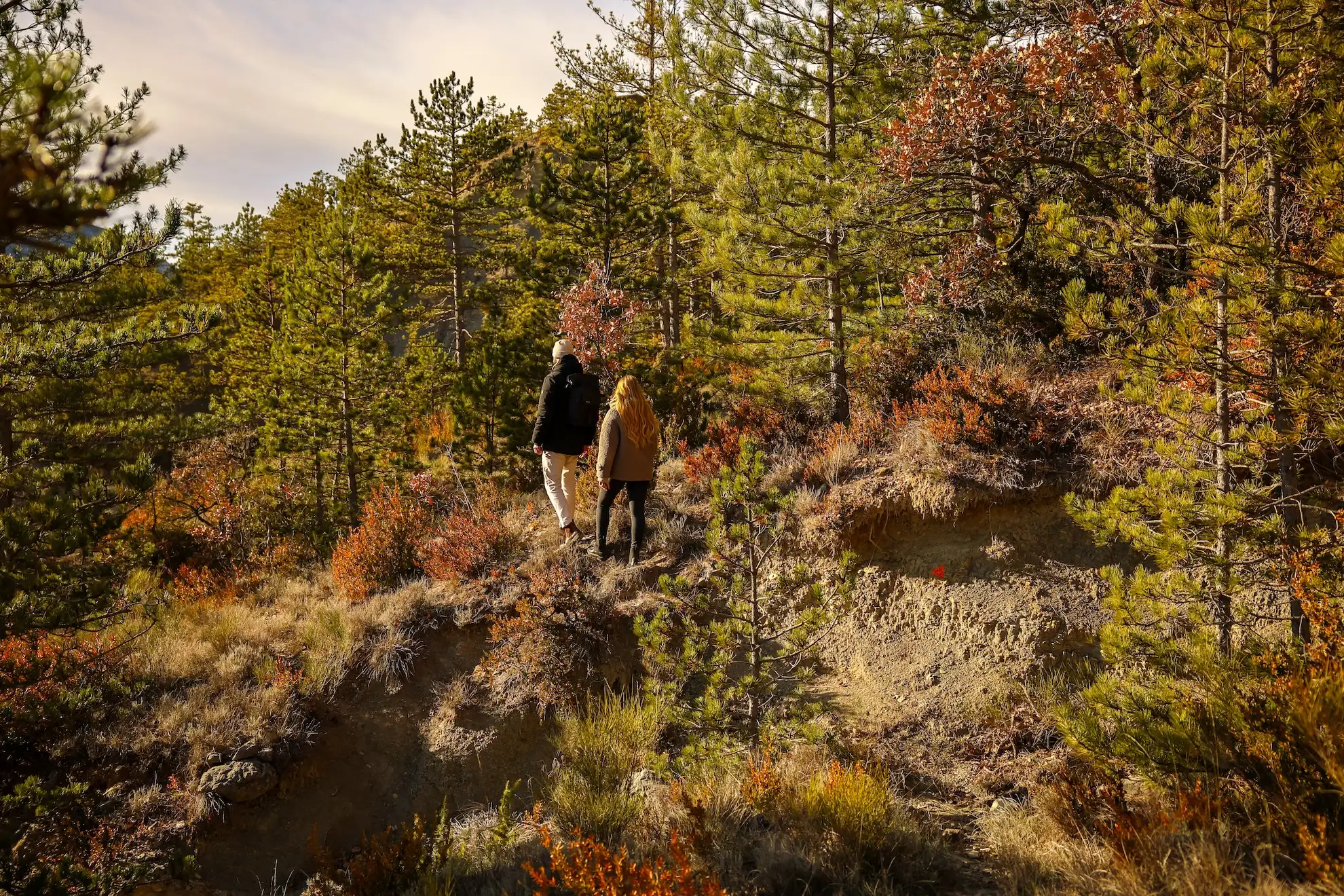 Pour un week-end insolite inoubliable, ou une idée cadeau couple, optez pour l’une de nos cabanes sur pilotis avec jacuzzi privatif.