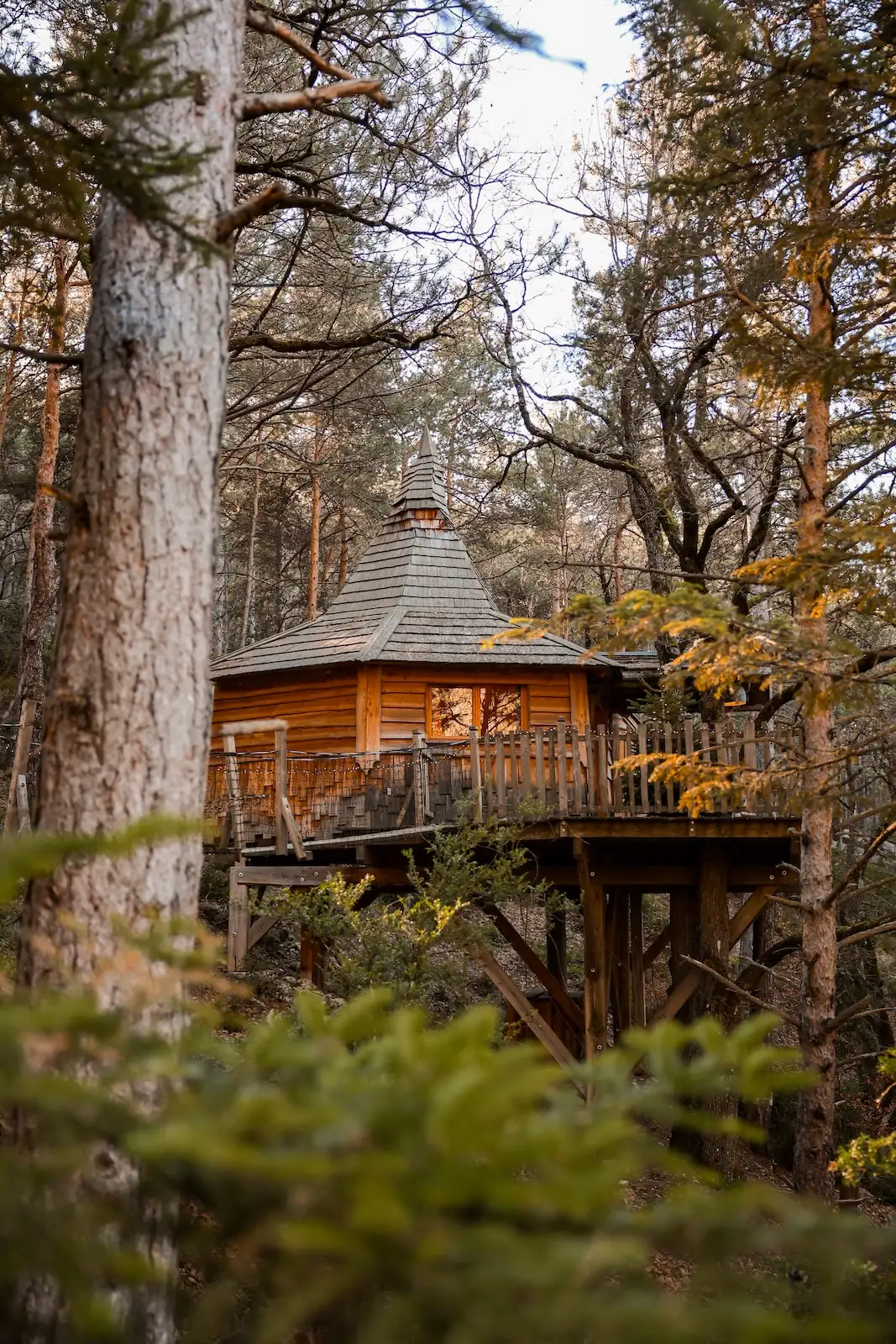 Profitez d’une cabane spa avec jacuzzi privatif dans les arbres, idéal pour un week-end en amoureux, dans les Hautes-Alpes, en PACA, entre Gap et Sisteron.