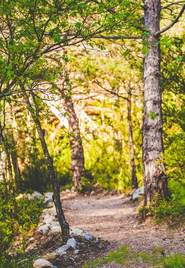 Profitez d’un week-end en amoureux dans nos cabane dans les arbres spa, parfait pour un week-end romantique, dans les Hautes Alpes.