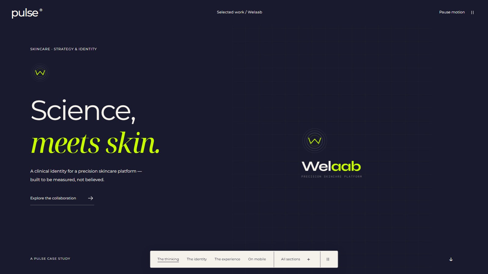 Welaab case study opening
