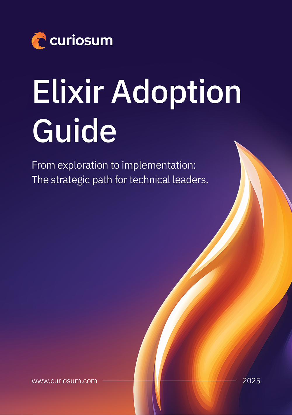 Elixir Adoption Guide