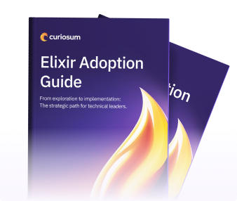 Elixir Adoption Guide