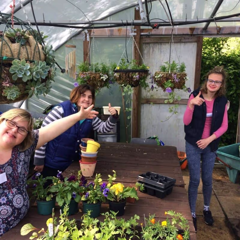 Find out more about the people that make halow what it is