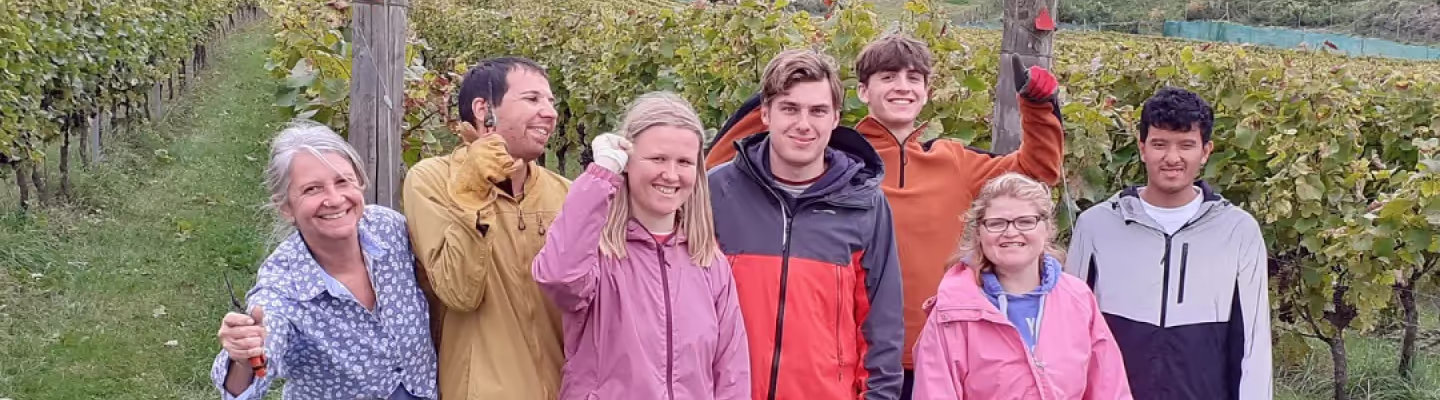Looking for support? Get In Touch with Halow.