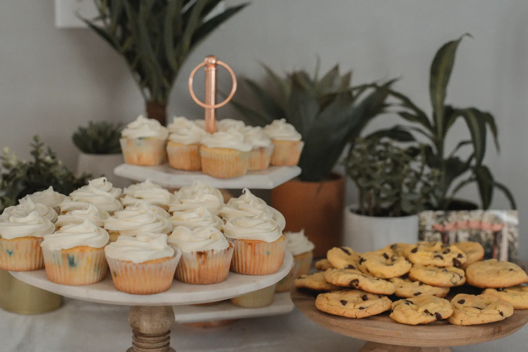 Organise a fundraiser