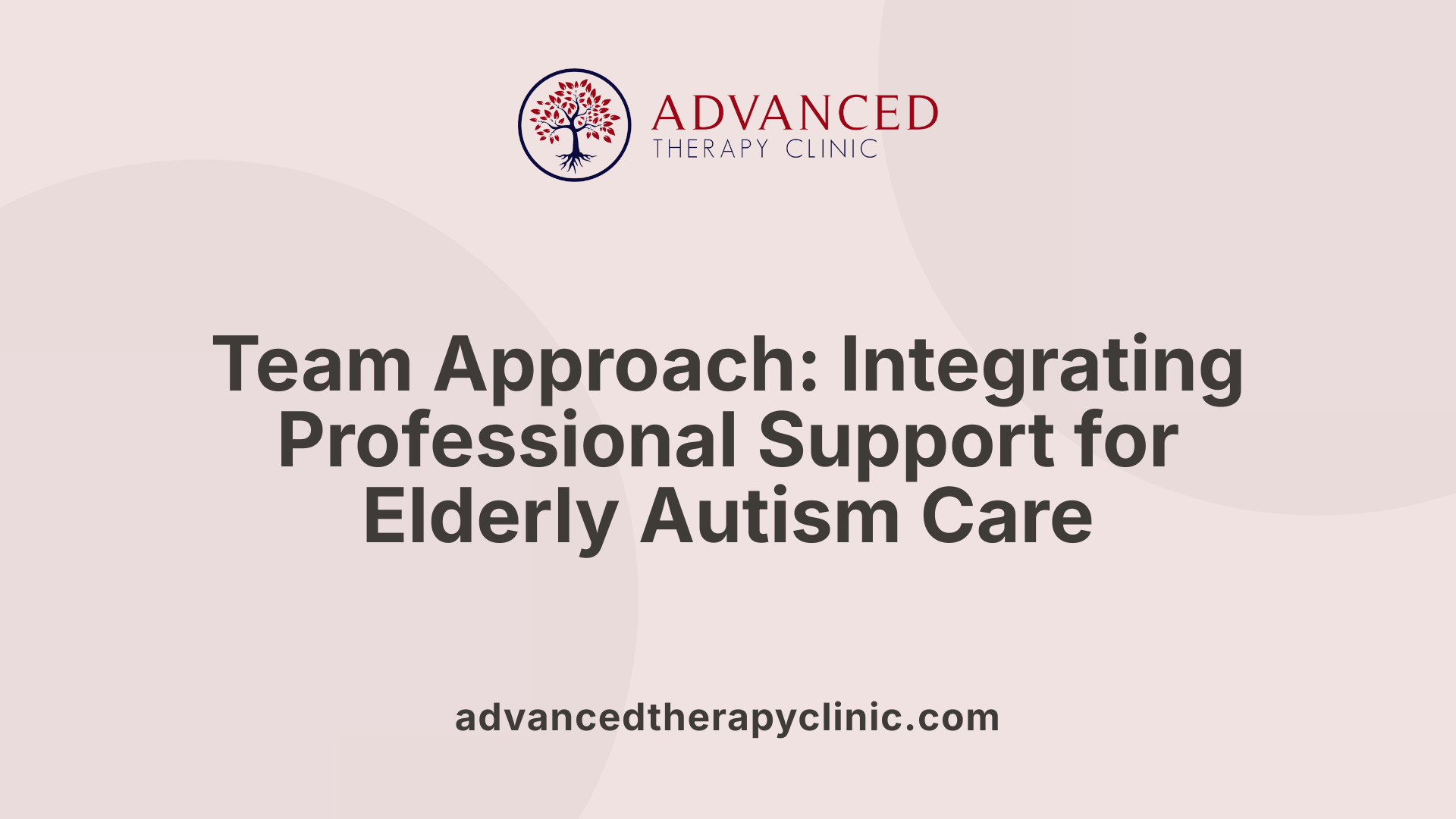 Team Approach: Integrating Professional Support for Elderly Autism Care