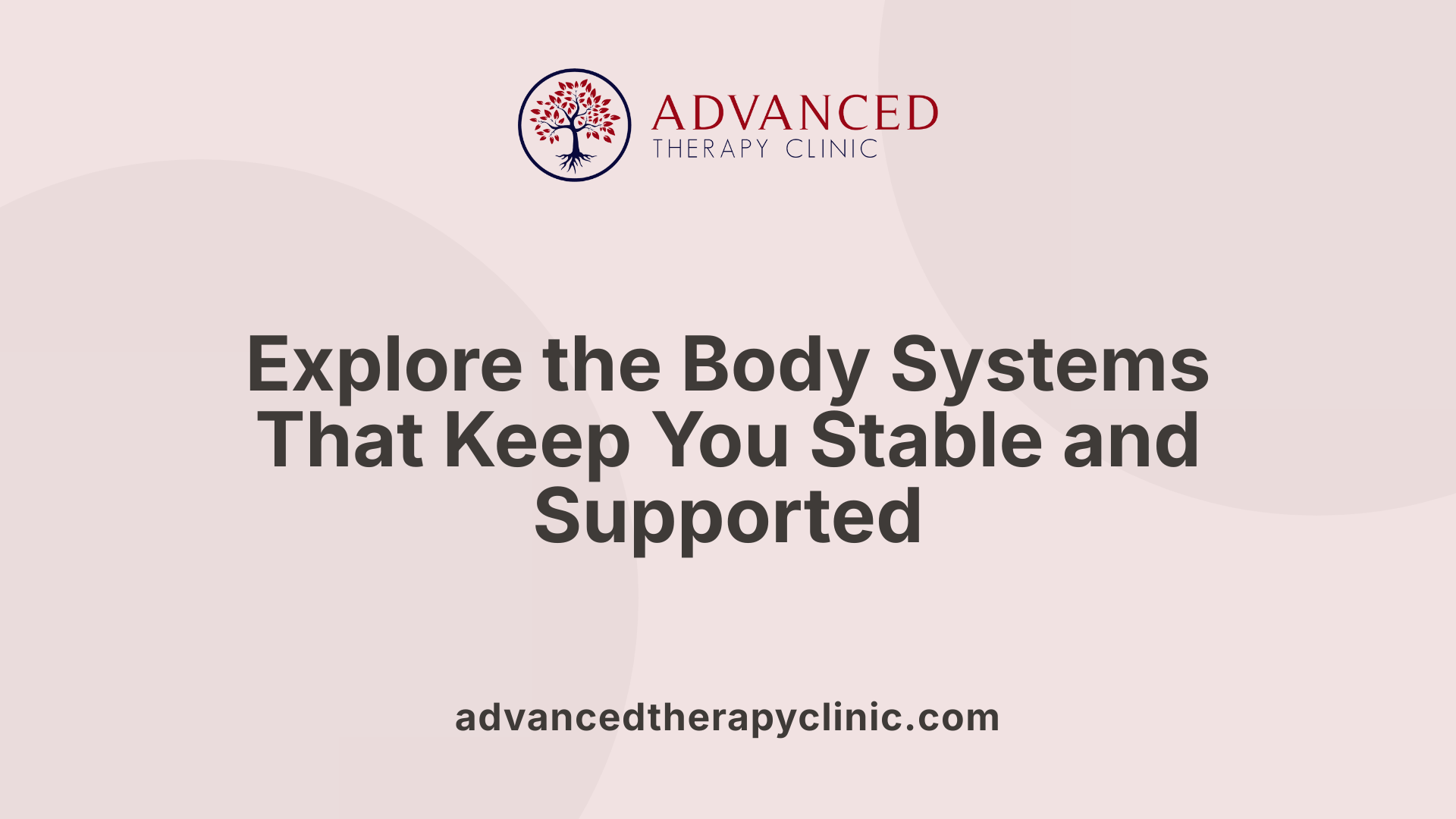 Explore the Body Systems That Keep You Stable and Supported
