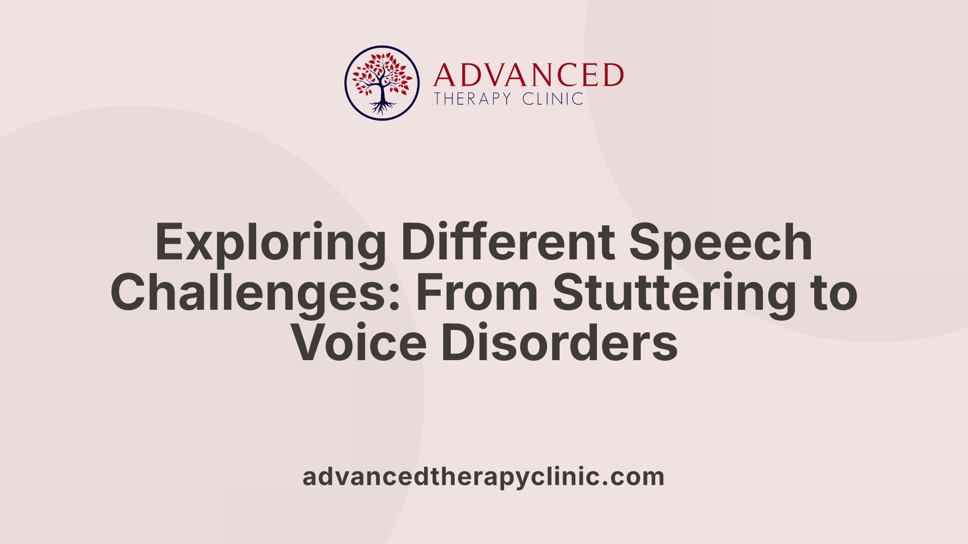 Exploring Different Speech Challenges: From Stuttering to Voice Disorders