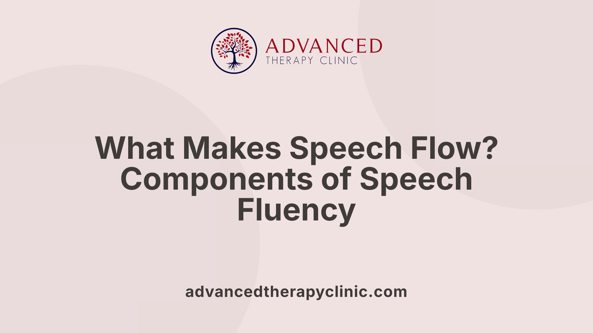 What Makes Speech Flow? Components of Speech Fluency