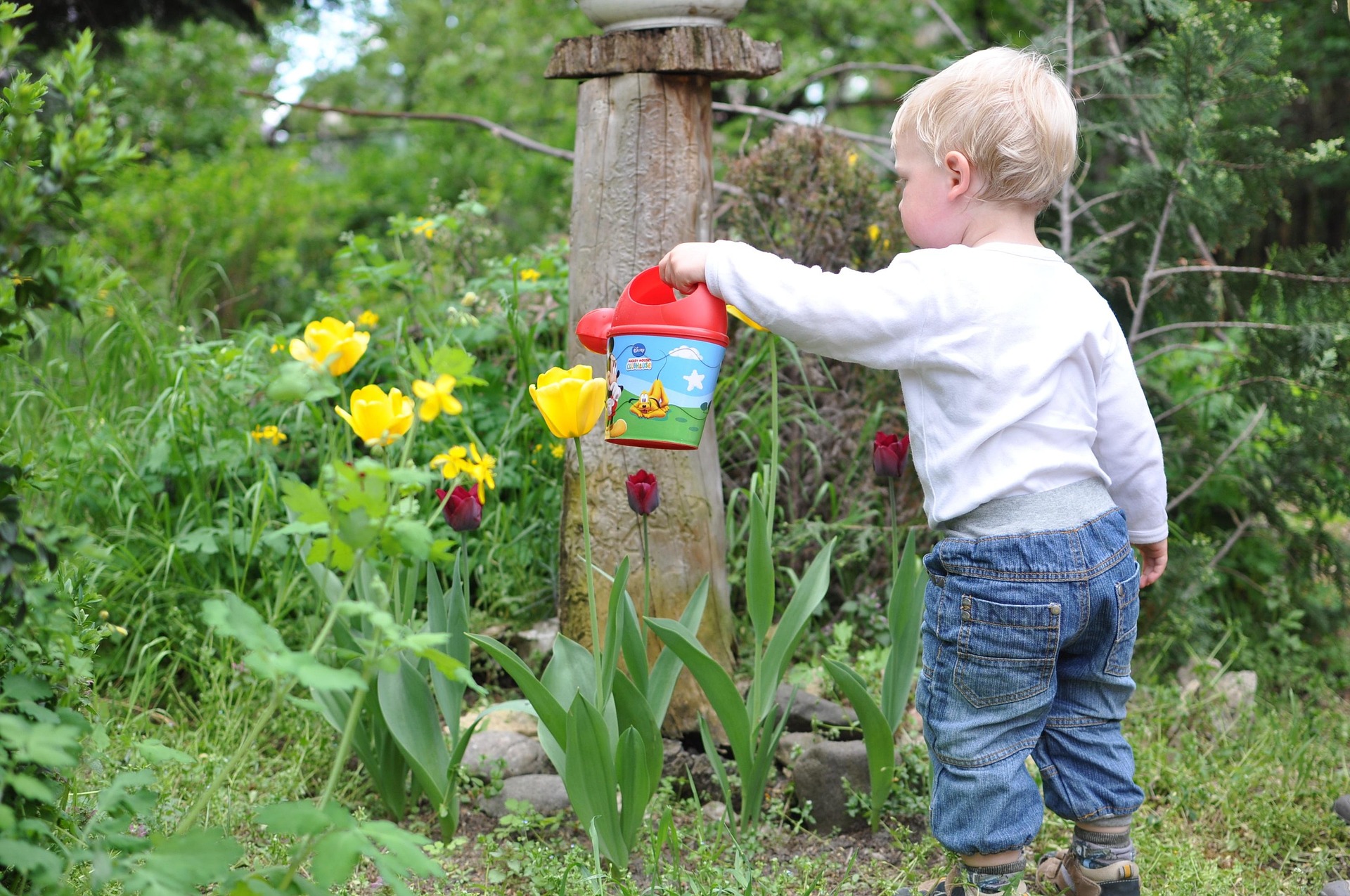 A child helping with simple outdoor chores
