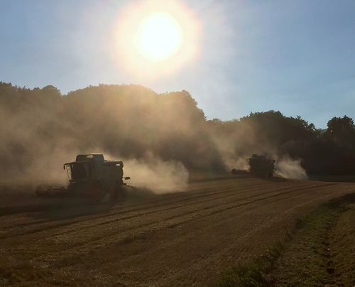 Getreideernte mit Mähdreschern auf Gut Weihershof