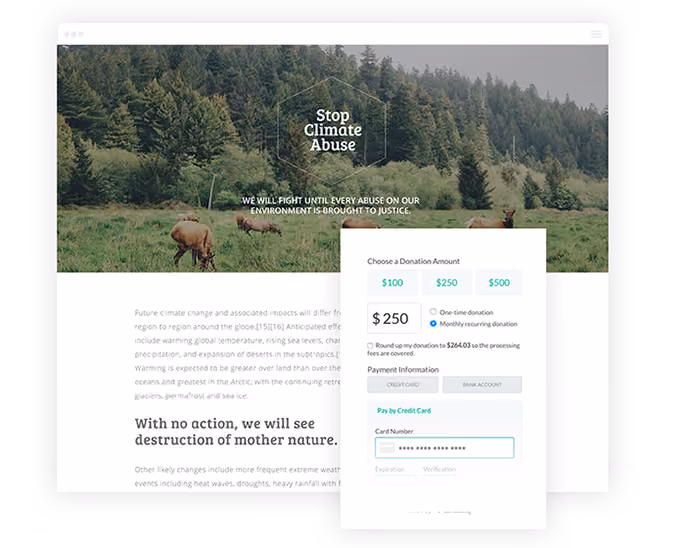 Here's an example of a well-designed donation form.