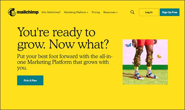 Mailchimp offers excellent online donation tools for marketing.