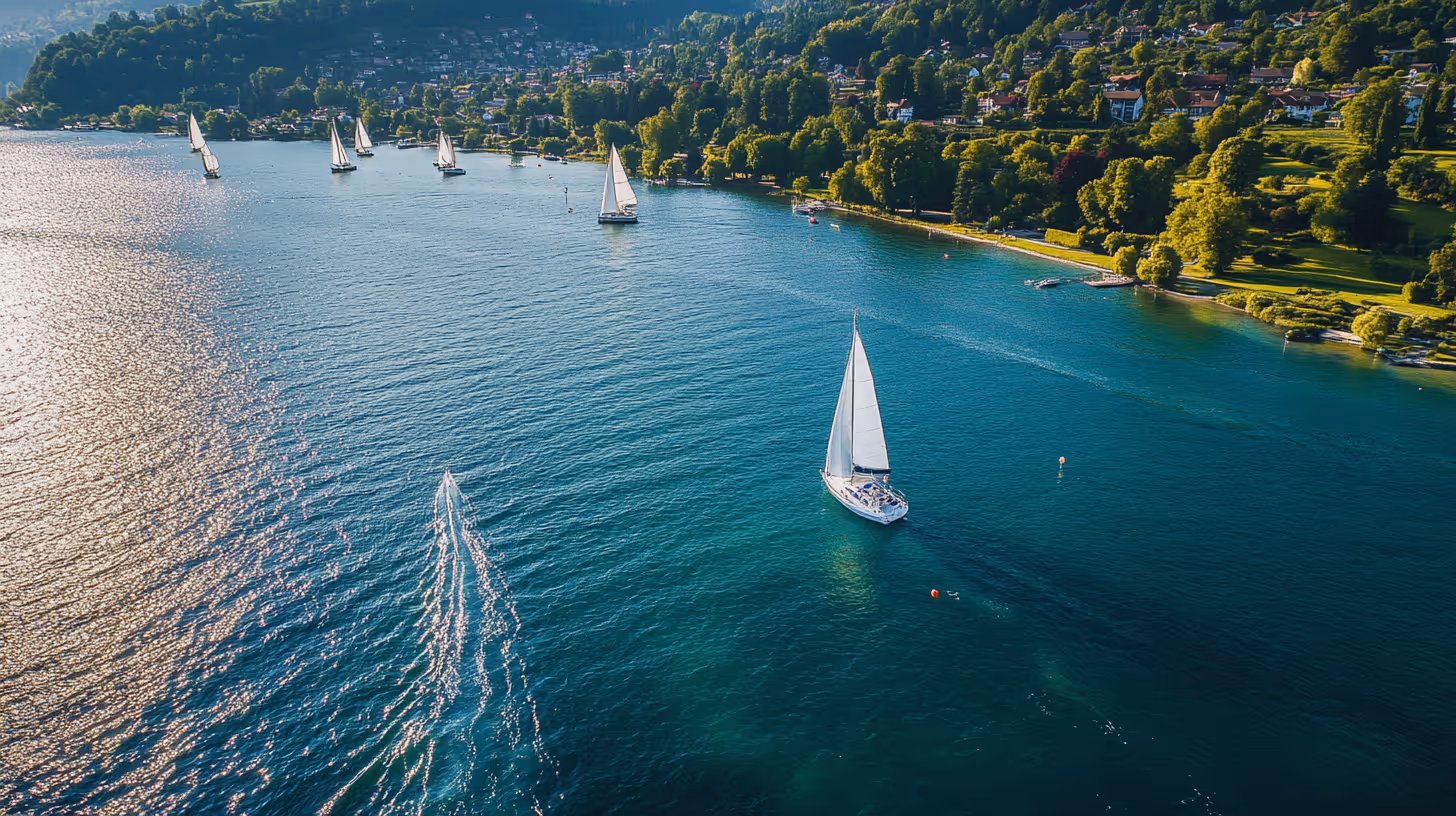 Judoka professionnels, comment bien investir son argent ? : Capitaliser sur une carrière d'image