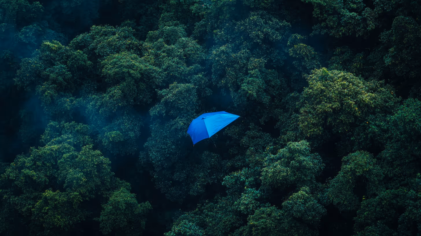 Meilleur cabinet gestion de patrimoine impatriés : sécuriser votre transition vers la France