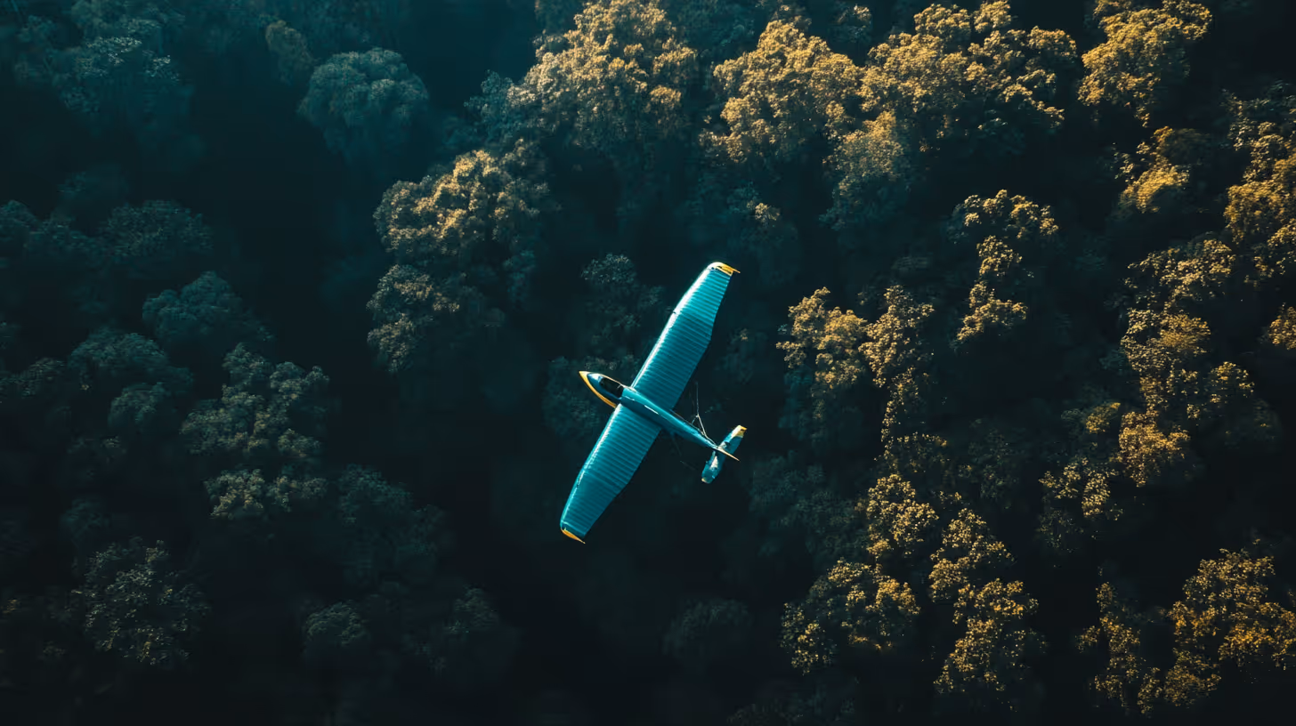 Les meilleurs cabinets pour les impatriés