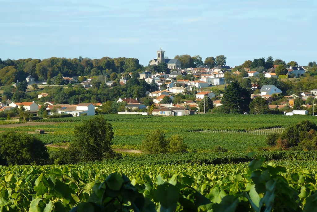 Meilleurs cabinets de gestion de patrimoine La Varenne : comment choisir le bon partenaire ?