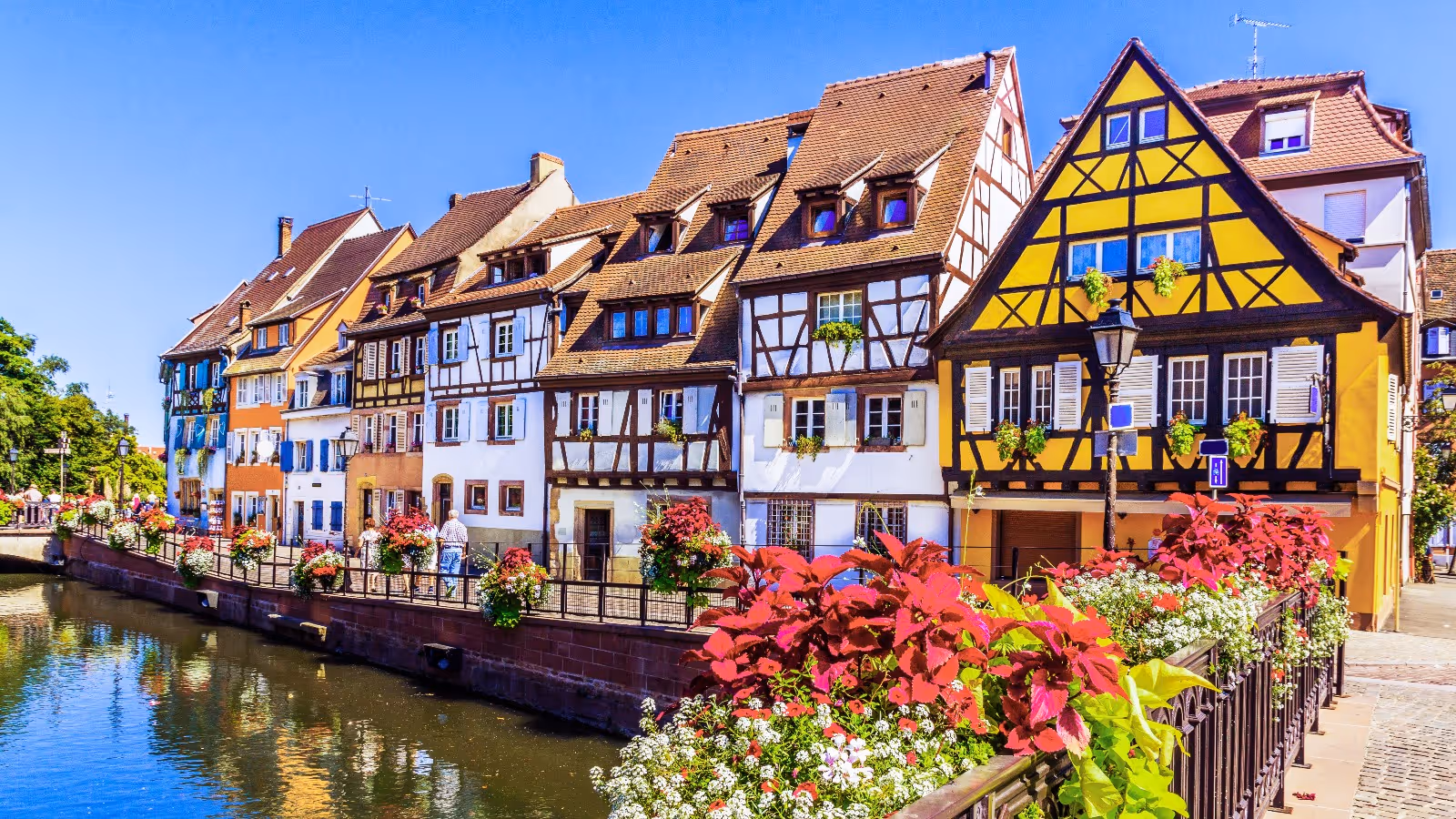 Meilleurs cabinets de gestion de patrimoine Colmar : comment choisir le bon partenaire ?