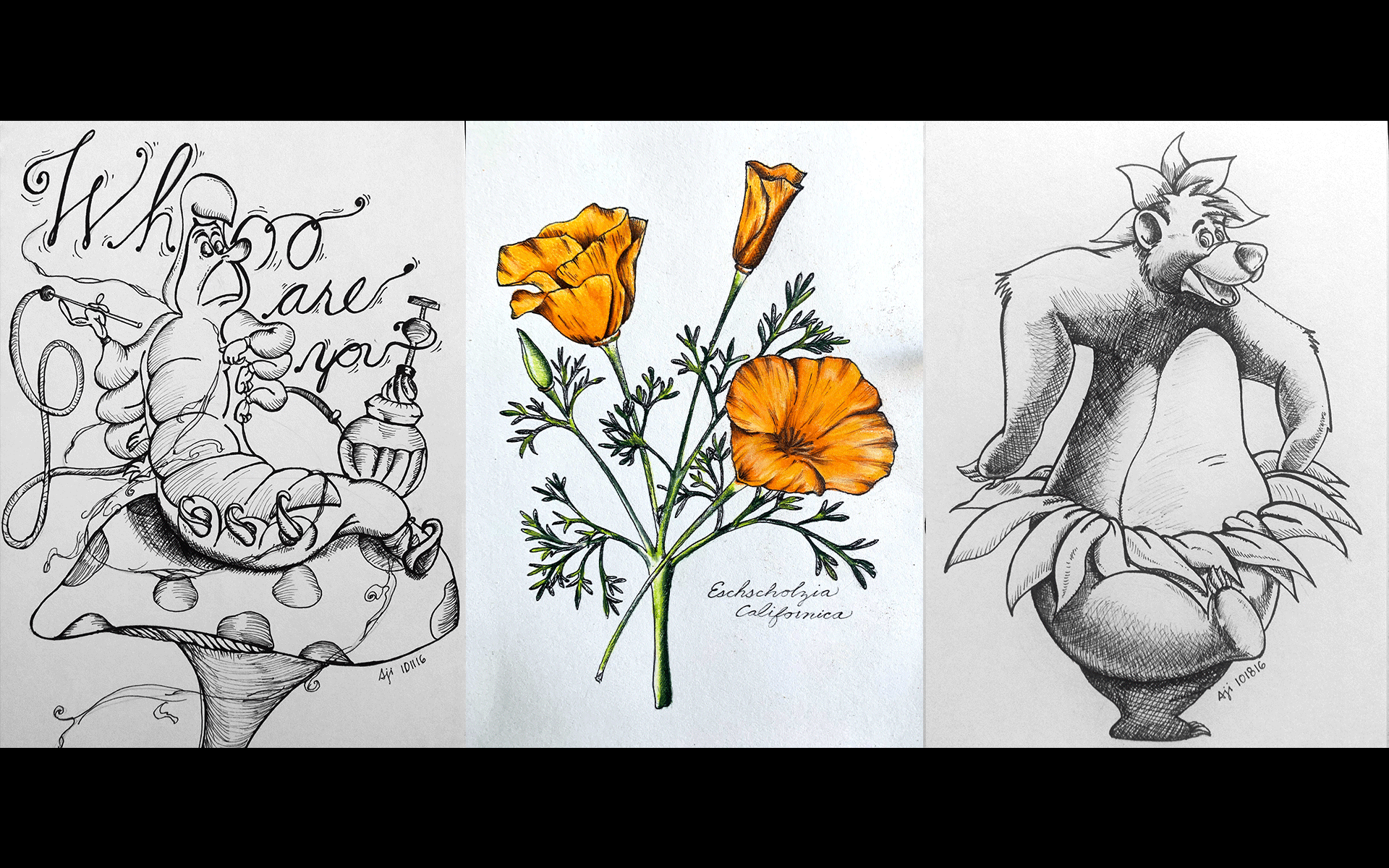 Beyond the Screen: Line, Memory, and Remembrance